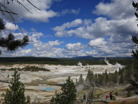 on a walk in Norris Basin, Yellowstone, N.P.